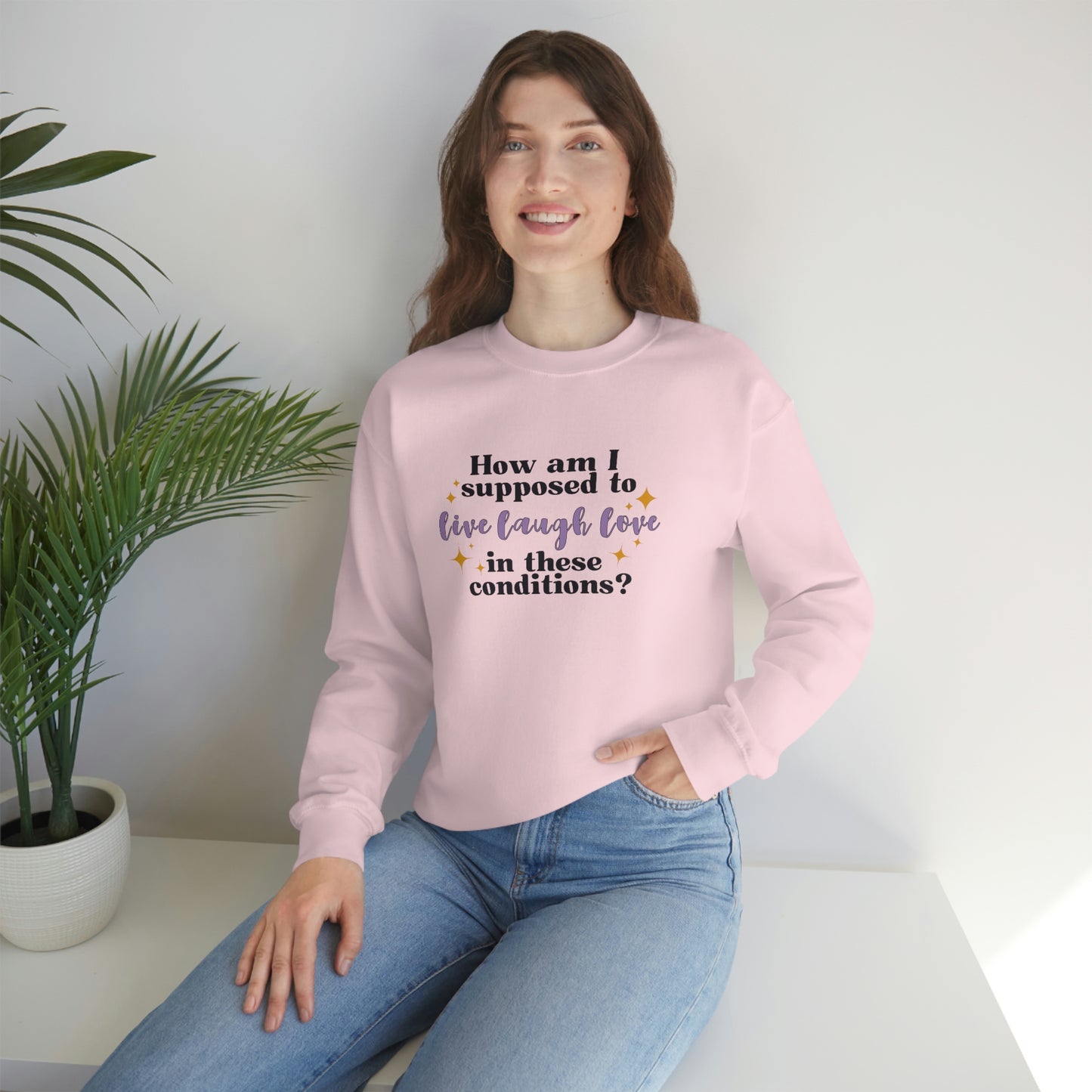 How Am I Supposed To Live Laugh Love In These Conditions? - Sweatshirt
