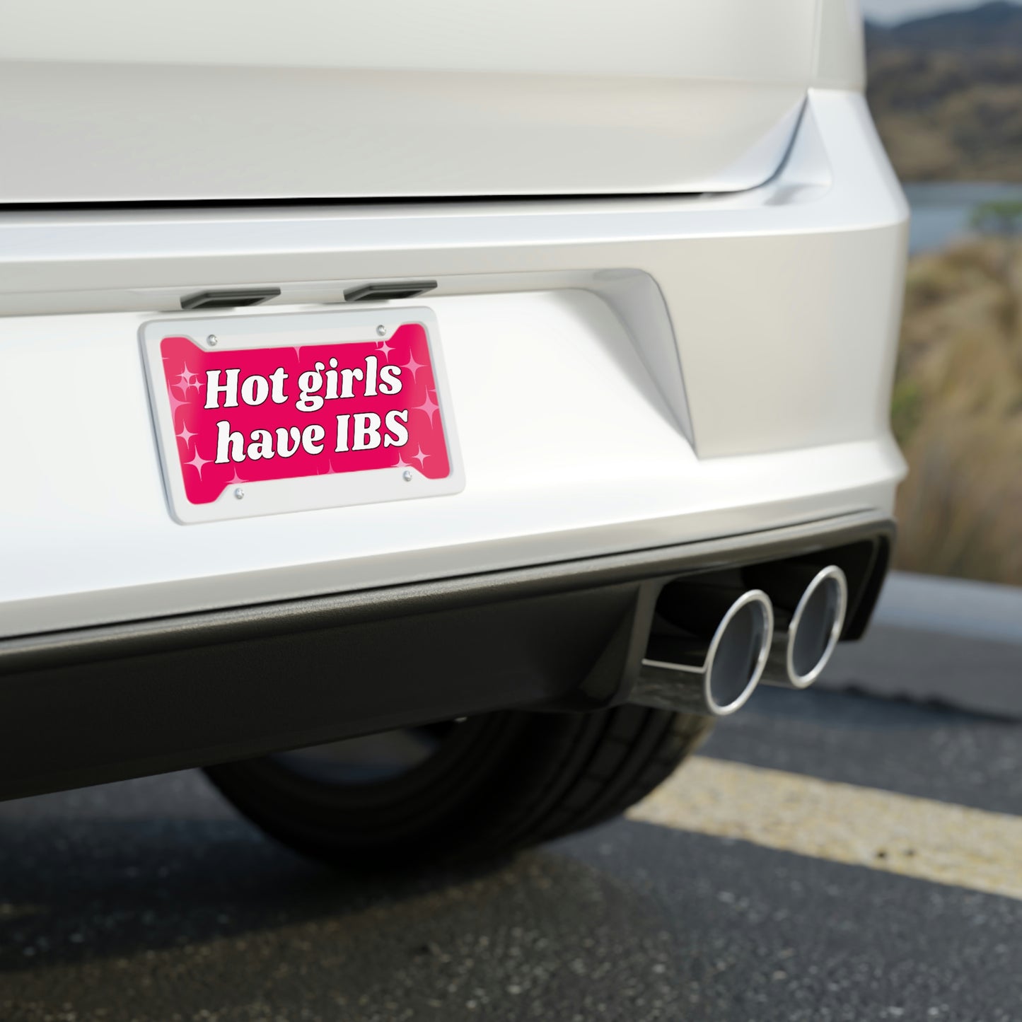 Hot Girls Have IBS Funny Cute Vanity Front License Plate