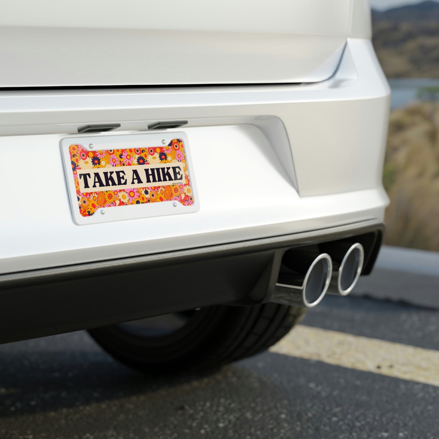 Take A Hike Cute Vanity Front License Plate